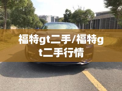 福特gt二手/福特gt二手行情 福特gt二手/福特gt二手行情