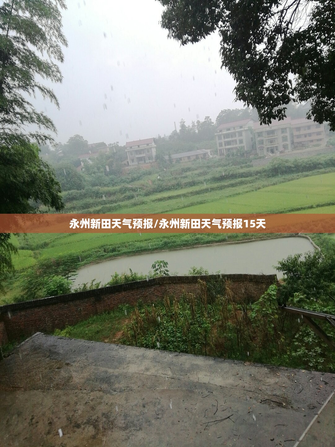 永州新田天气预报/永州新田天气预报15天