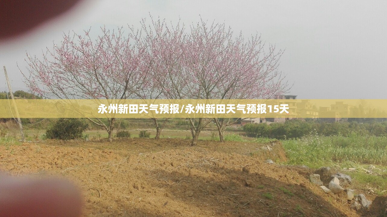 永州新田天气预报/永州新田天气预报15天