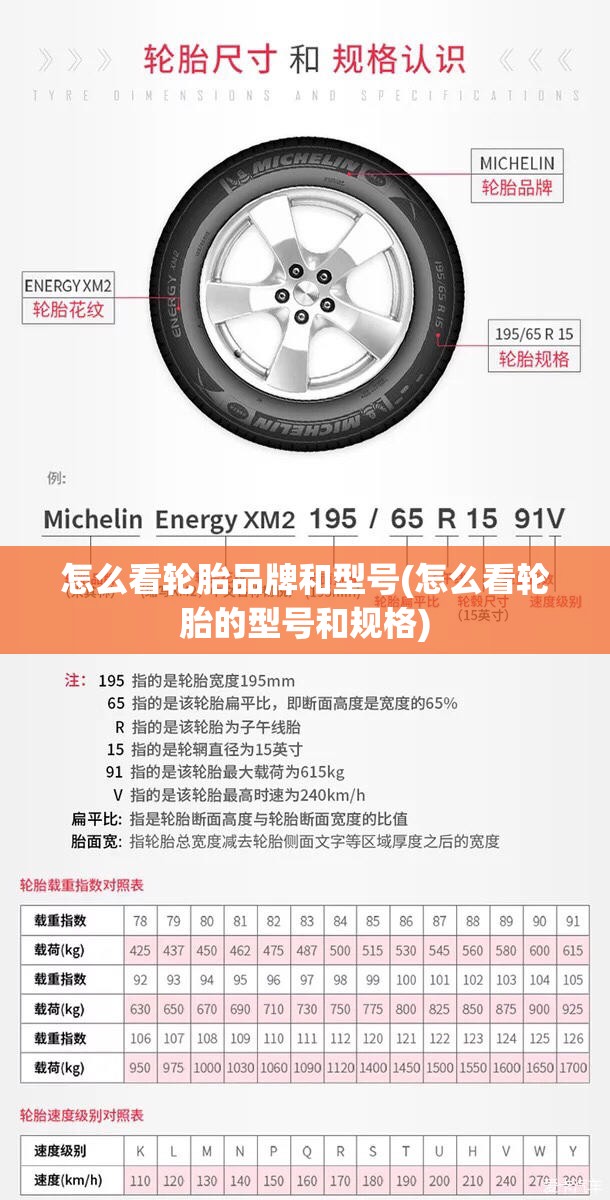 怎么看轮胎品牌和型号(怎么看轮胎的型号和规格) 怎么看轮胎品牌和型号(怎么看轮胎的型号和规格)