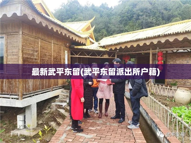 最新武平东留(武平东留派出所户籍)