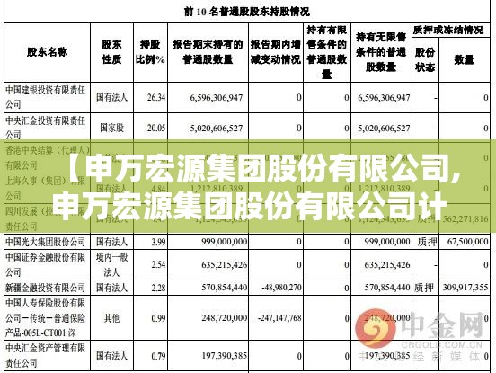 【申万宏源集团股份有限公司,申万宏源集团股份有限公司计划财务部】