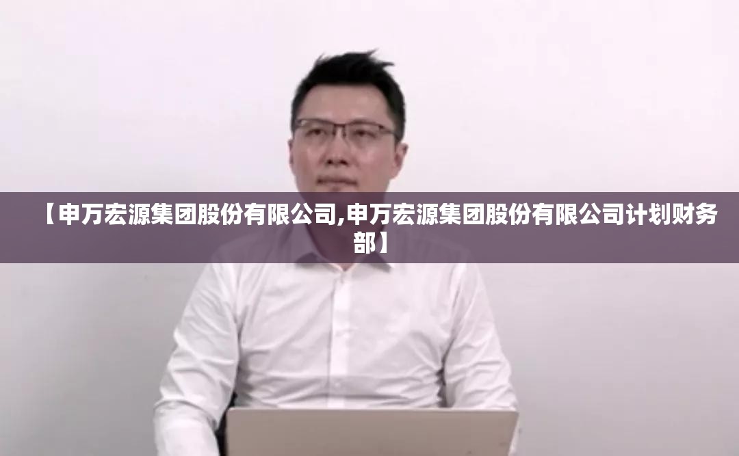 【申万宏源集团股份有限公司,申万宏源集团股份有限公司计划财务部】