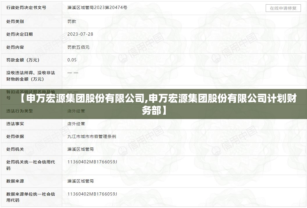 【申万宏源集团股份有限公司,申万宏源集团股份有限公司计划财务部】