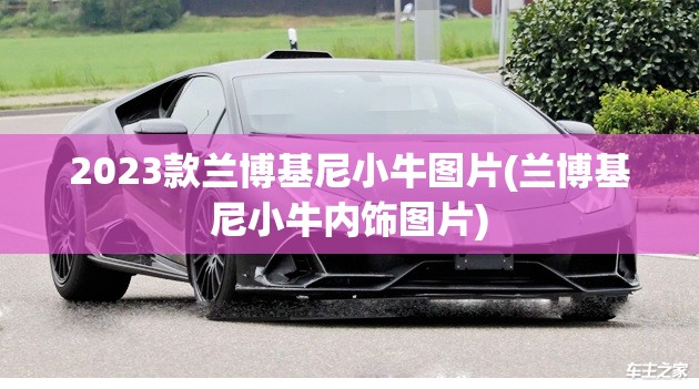 2023款兰博基尼小牛图片(兰博基尼小牛内饰图片) 2023款兰博基尼小牛图片(兰博基尼小牛内饰图片)