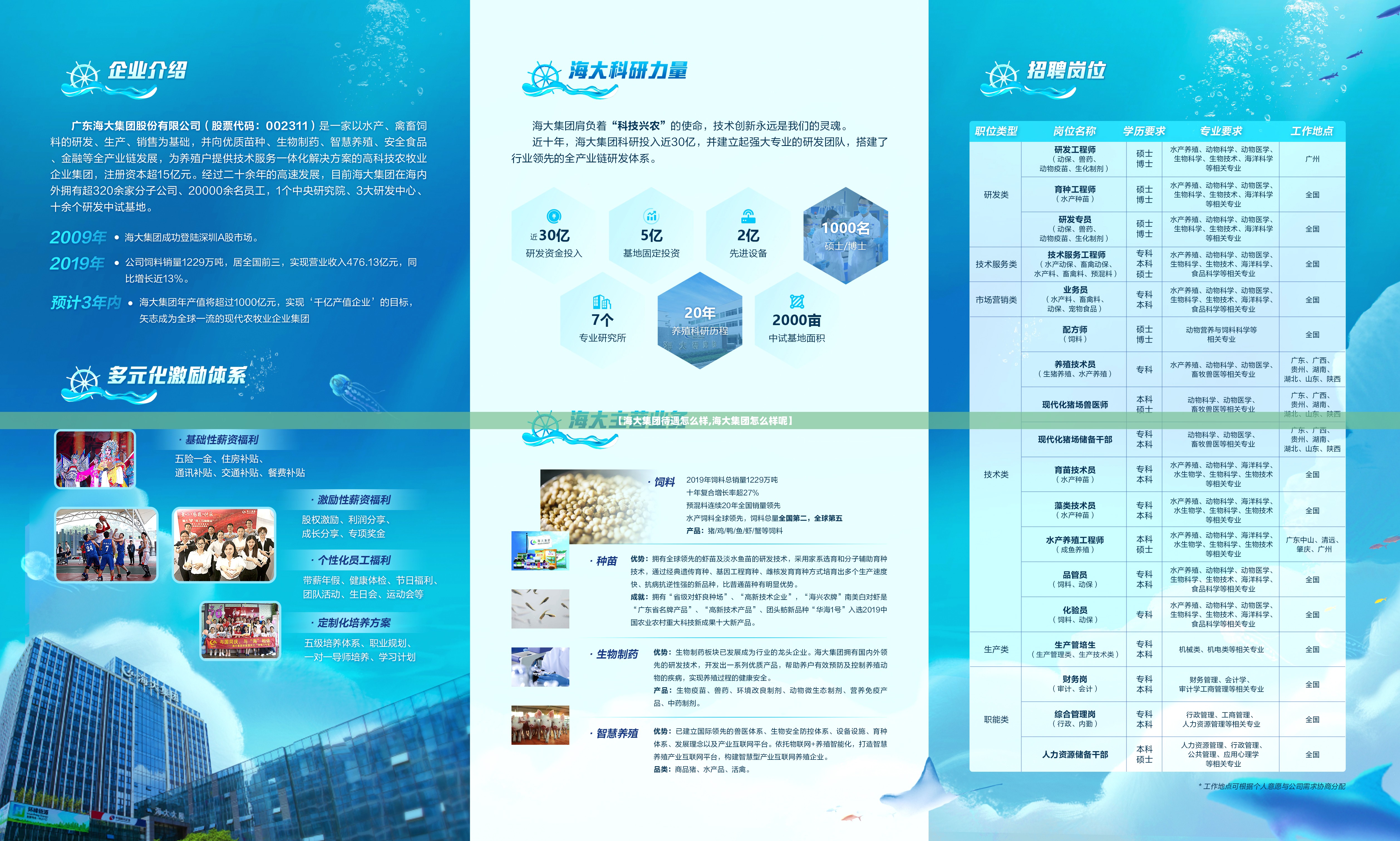 【海大集团待遇怎么样,海大集团怎么样呢】