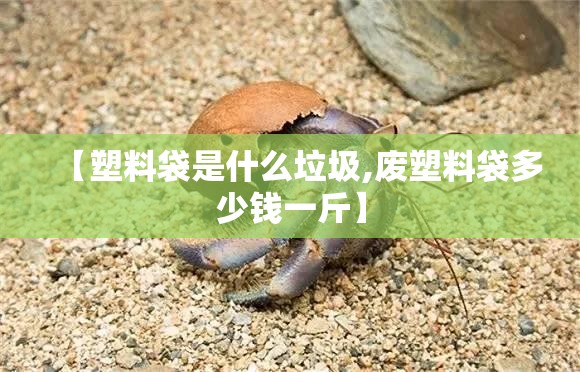 【塑料袋是什么垃圾,废塑料袋多少钱一斤】