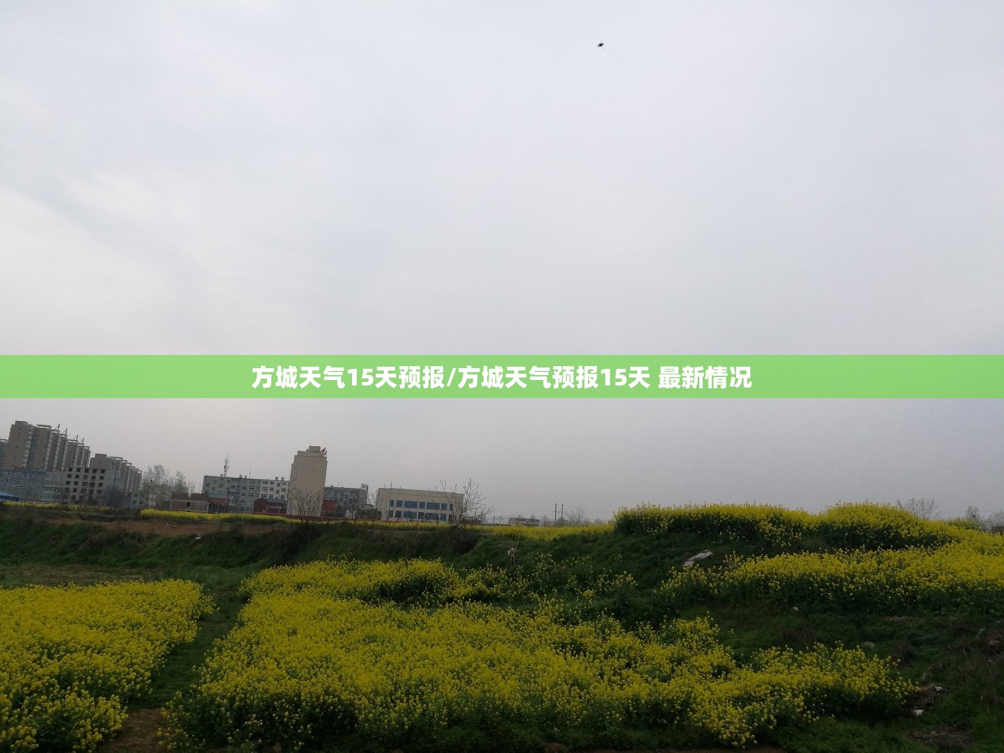 方城天气15天预报/方城天气预报15天 最新情况