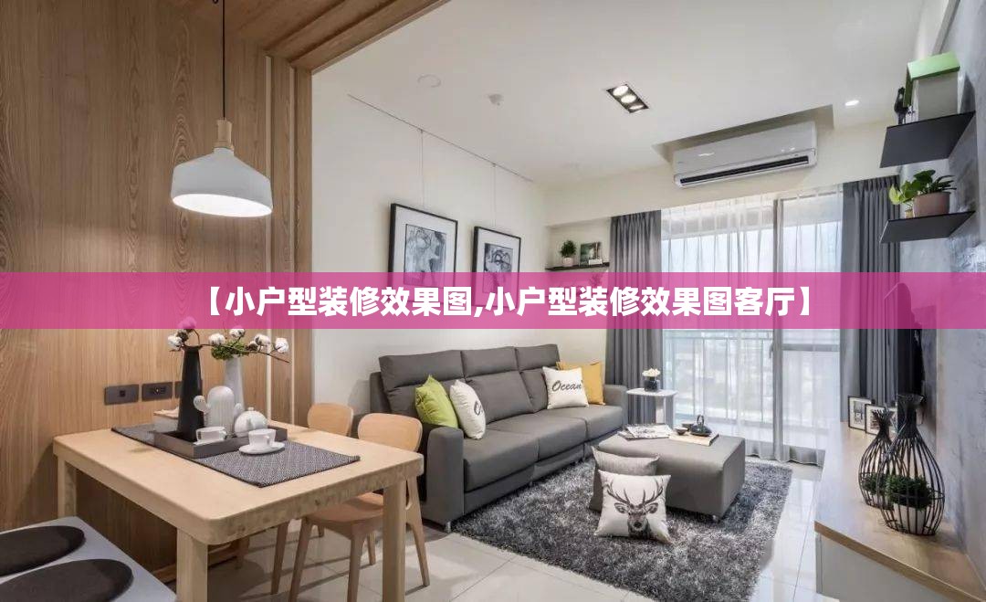 【小户型装修效果图,小户型装修效果图客厅】