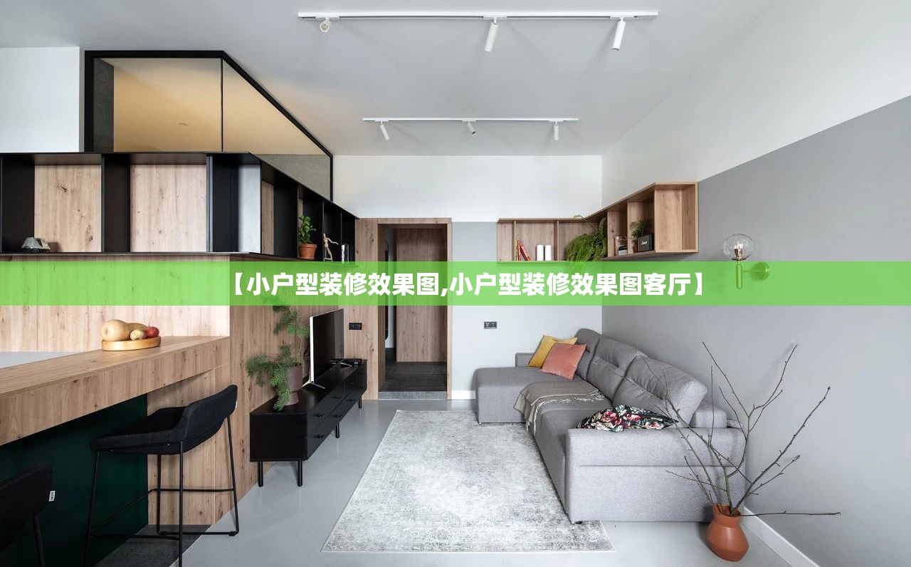 【小户型装修效果图,小户型装修效果图客厅】