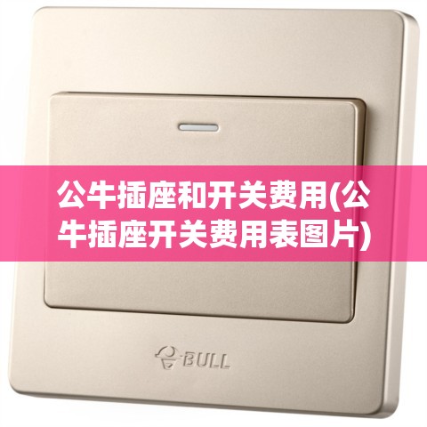 公牛插座和开关费用(公牛插座开关费用表图片)
