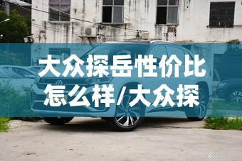 大众探岳性价比怎么样/大众探岳最建议买三样