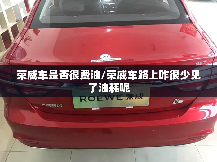 荣威车是否很费油/荣威车路上咋很少见了油耗呢