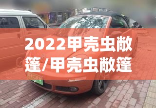 2022甲壳虫敞篷/甲壳虫敞篷3万