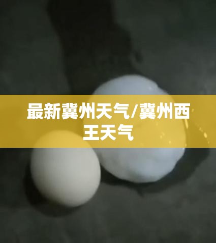 最新冀州天气/冀州西王天气 最新冀州天气/冀州西王天气