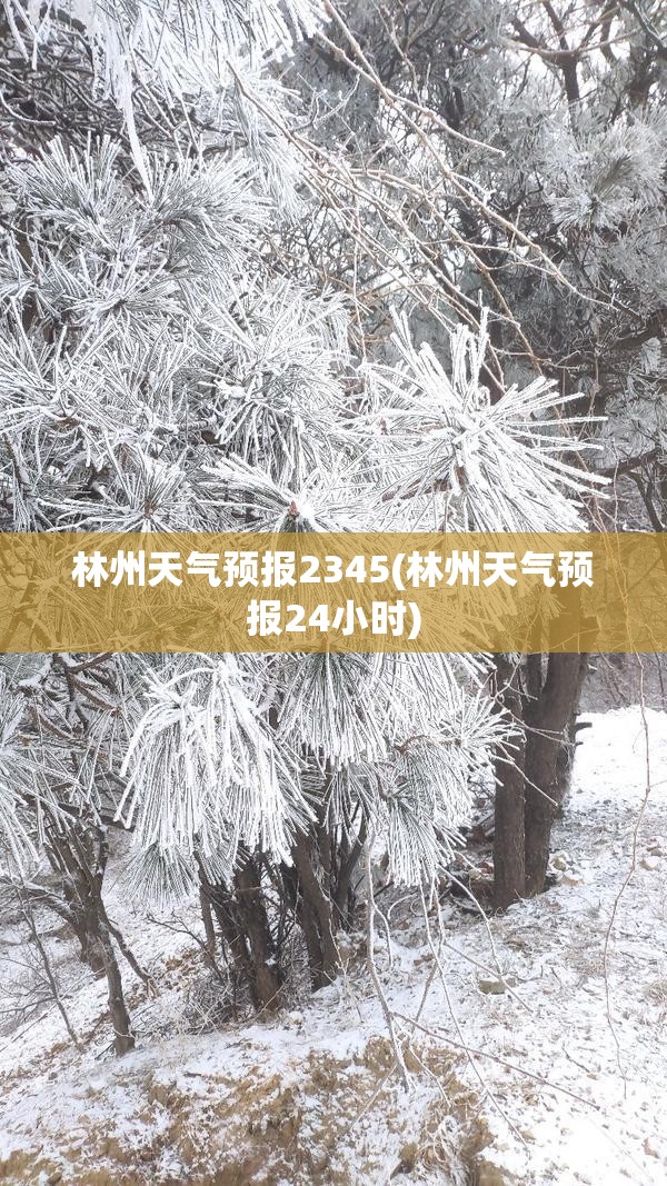 林州天气预报2345(林州天气预报24小时) 林州天气预报2345(林州天气预报24小时)