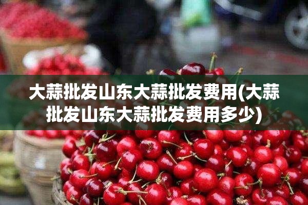 大蒜批发山东大蒜批发费用(大蒜批发山东大蒜批发费用多少) 大蒜批发山东大蒜批发费用(大蒜批发山东大蒜批发费用多少)