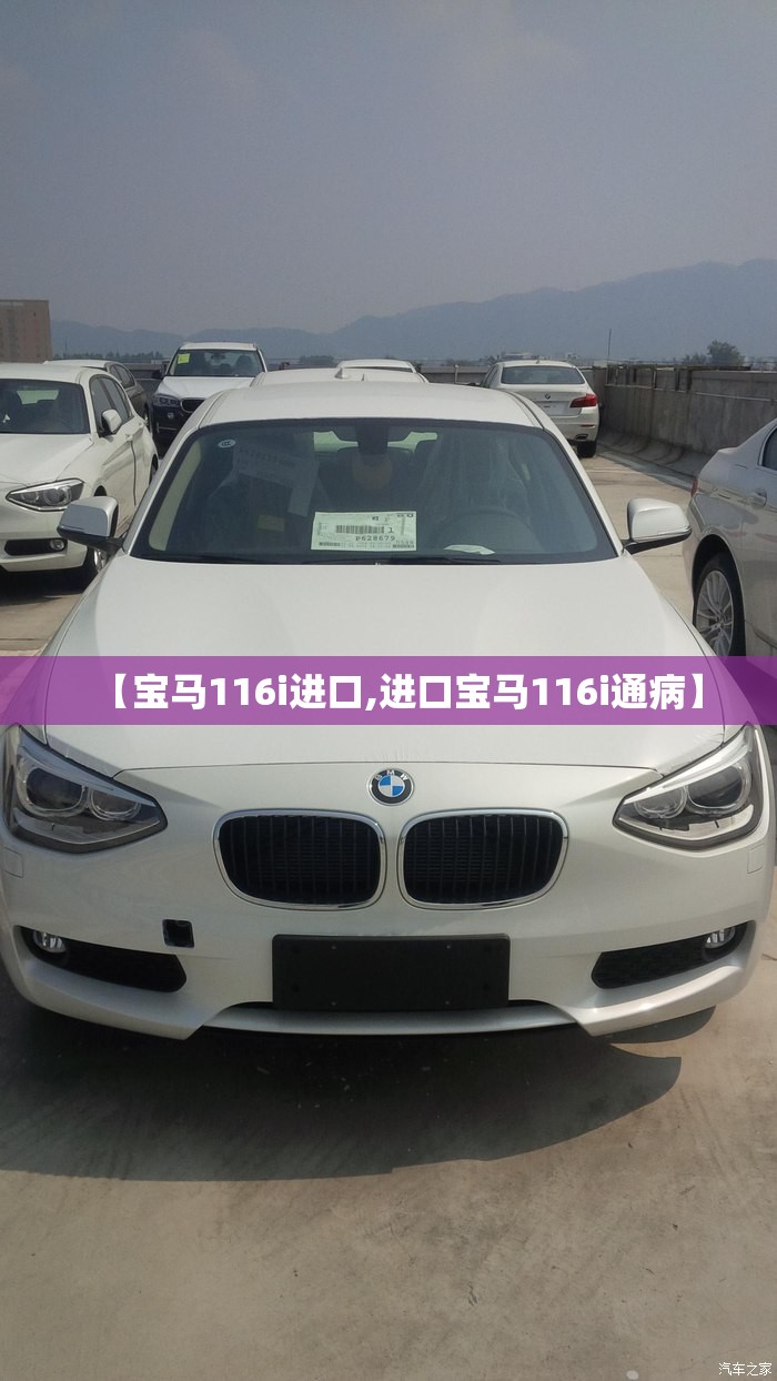 【宝马116i进口,进口宝马116i通病】 【宝马116i进口,进口宝马116i通病】