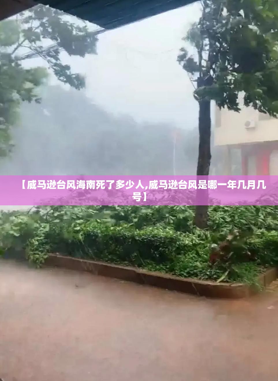 【威马逊台风海南死了多少人,威马逊台风是哪一年几月几号】 【威马逊台风海南死了多少人,威马逊台风是哪一年几月几号】