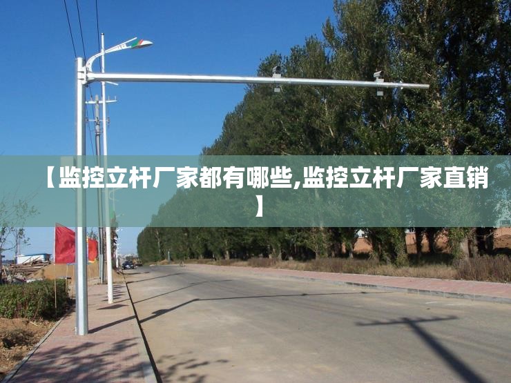 【监控立杆厂家都有哪些,监控立杆厂家直销】