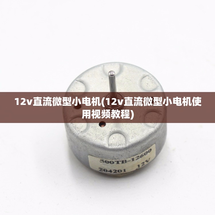 12v直流微型小电机(12v直流微型小电机使用视频教程)
