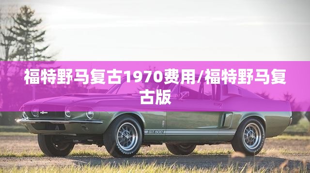 福特野马复古1970费用/福特野马复古版 福特野马复古1970费用/福特野马复古版