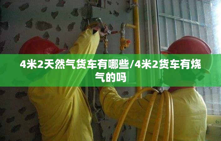 4米2天然气货车有哪些/4米2货车有烧气的吗 4米2天然气货车有哪些/4米2货车有烧气的吗