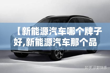 【新能源汽车哪个牌子好,新能源汽车那个品牌性价比比较高】