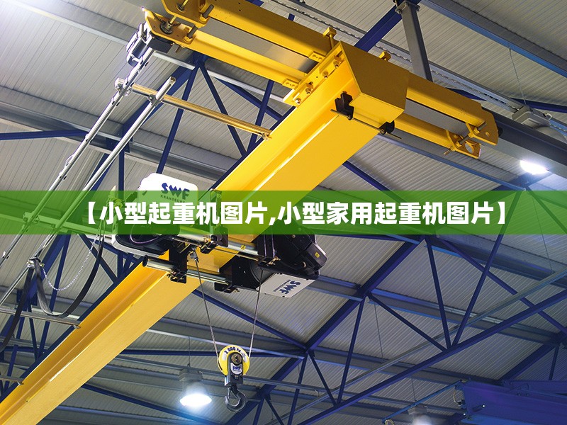 【小型起重机图片,小型家用起重机图片】