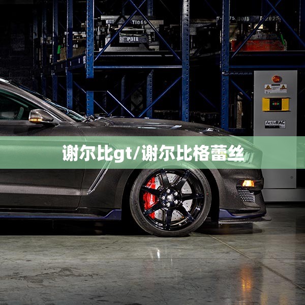 谢尔比gt/谢尔比格蕾丝