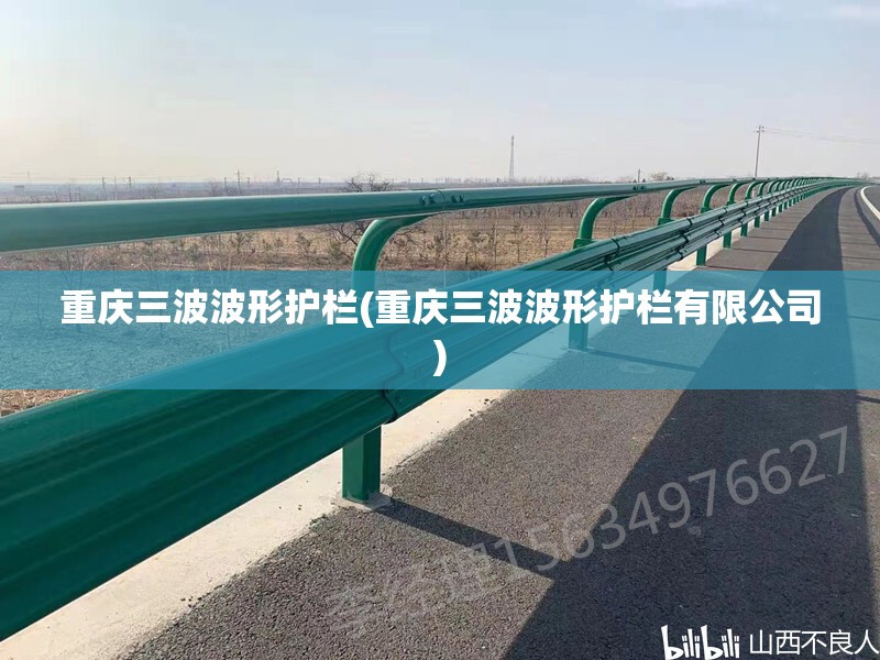 重庆三波波形护栏(重庆三波波形护栏有限公司) 重庆三波波形护栏(重庆三波波形护栏有限公司)