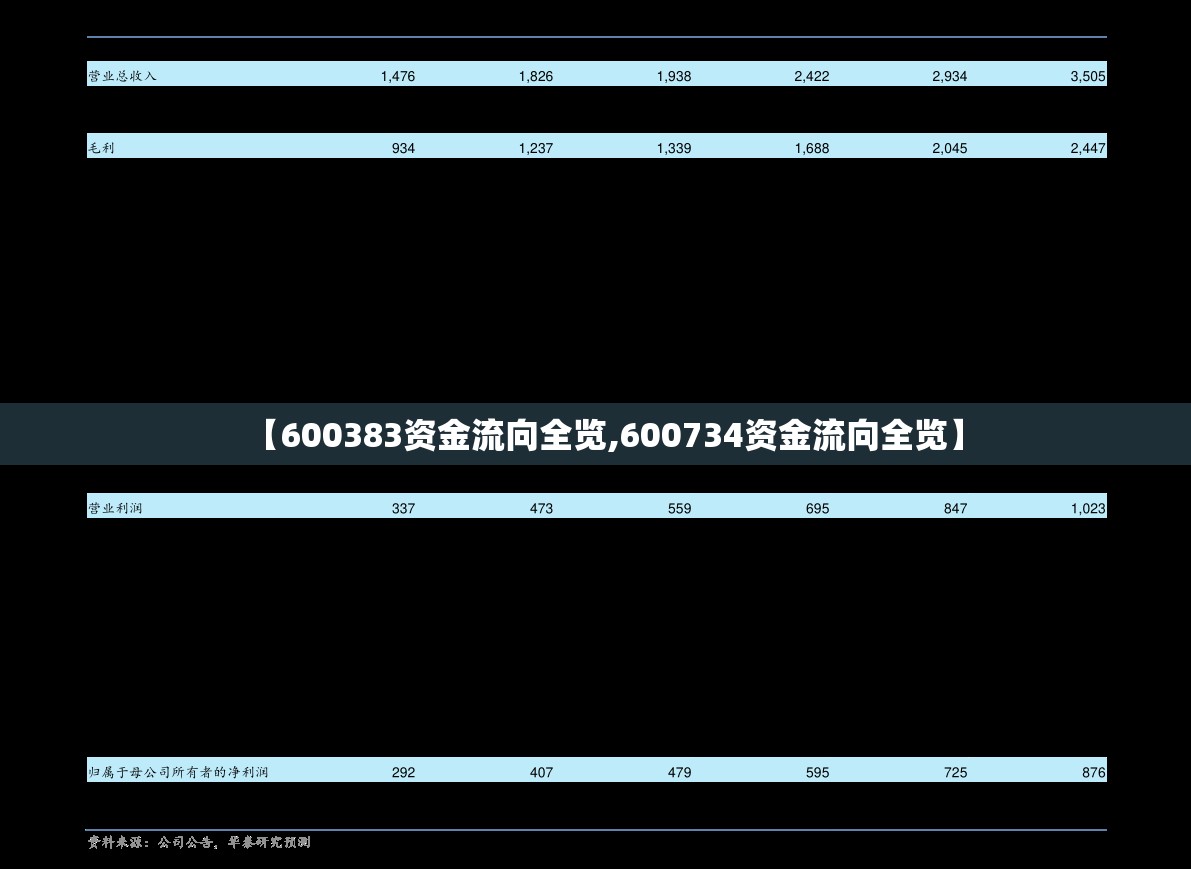 【600383资金流向全览,600734资金流向全览】