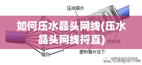 如何压水晶头网线(压水晶头网线捋直) 如何压水晶头网线(压水晶头网线捋直)
