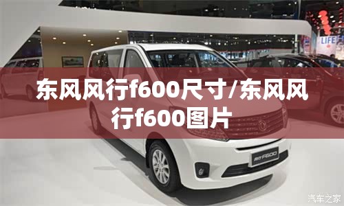 东风风行f600尺寸/东风风行f600图片