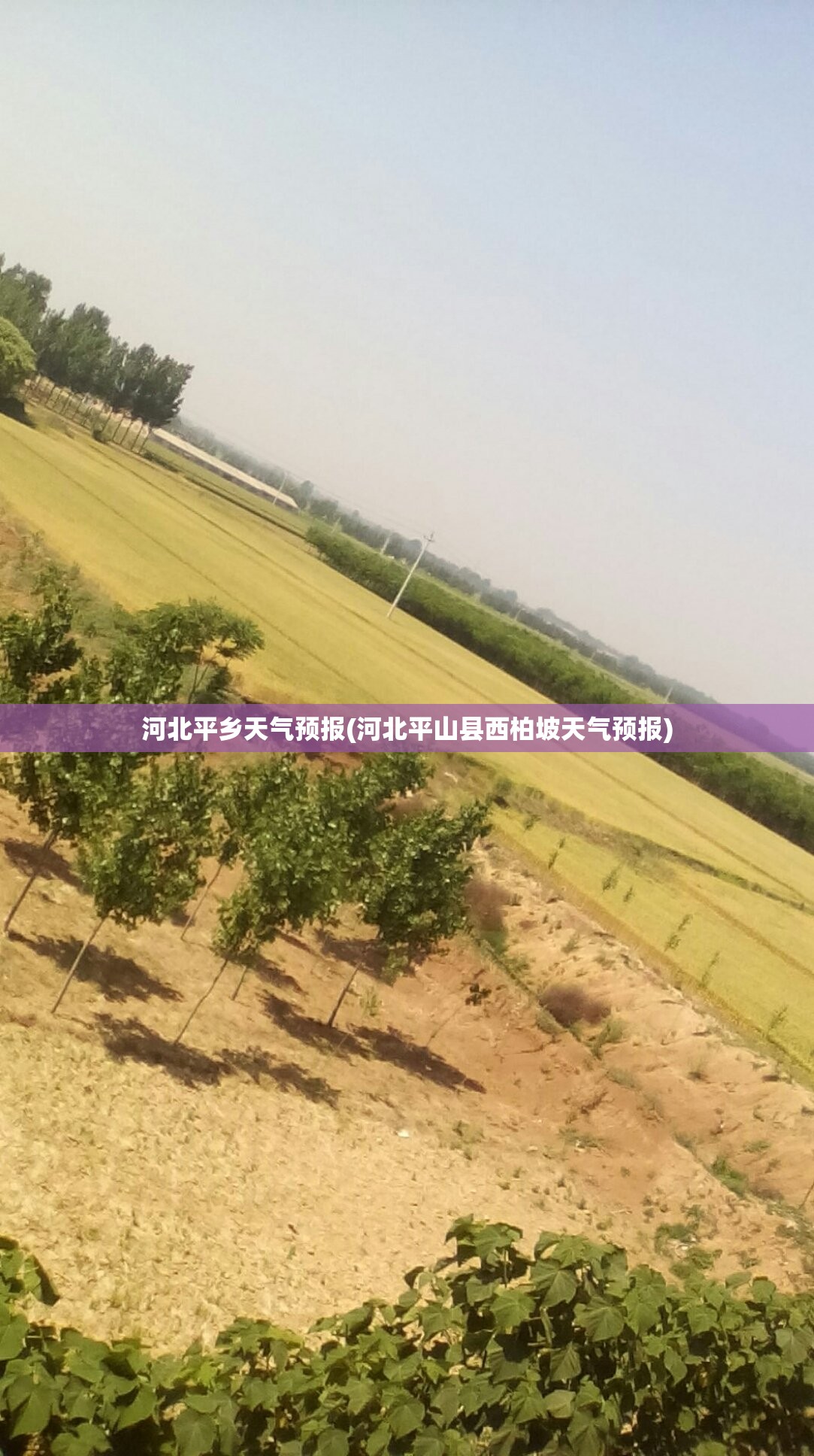 河北平乡天气预报(河北平山县西柏坡天气预报)