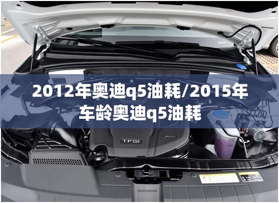 2012年奥迪q5油耗/2015年车龄奥迪q5油耗