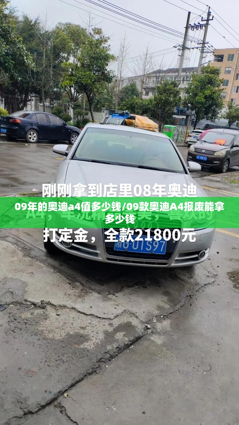 09年的奥迪a4值多少钱/09款奥迪A4报废能拿多少钱