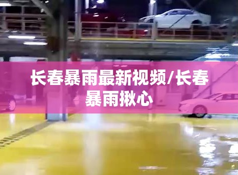 长春暴雨最新视频/长春暴雨揪心
