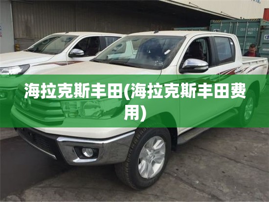 海拉克斯丰田(海拉克斯丰田费用)