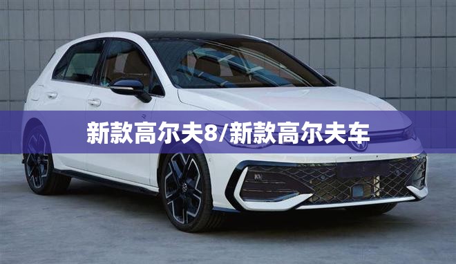 新款高尔夫8/新款高尔夫车