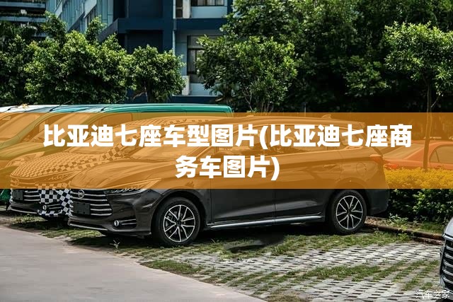 比亚迪七座车型图片(比亚迪七座商务车图片)