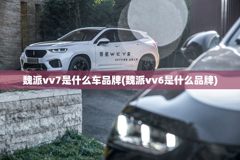 魏派vv7是什么车品牌(魏派vv6是什么品牌)