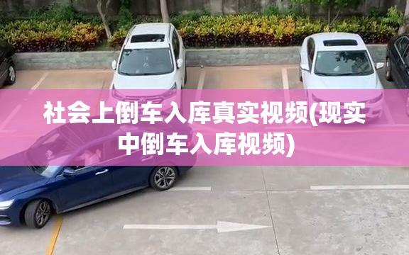 社会上倒车入库真实视频(现实中倒车入库视频)
