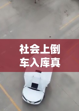 社会上倒车入库真实视频(现实中倒车入库视频)