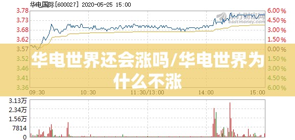 华电世界还会涨吗/华电世界为什么不涨