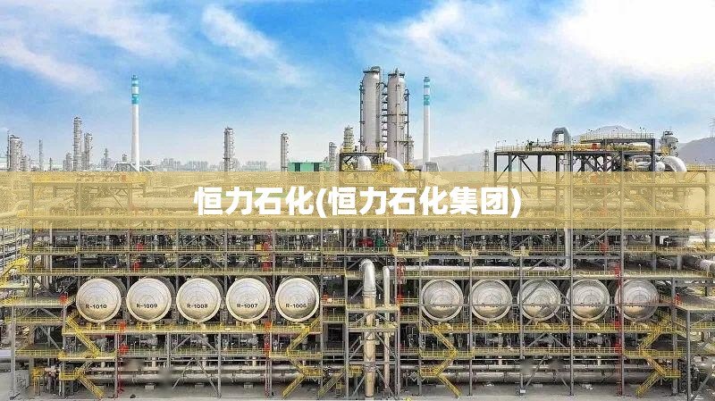 恒力石化(恒力石化集团)