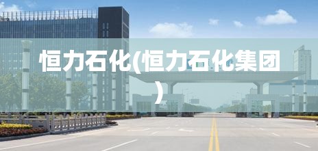 恒力石化(恒力石化集团)