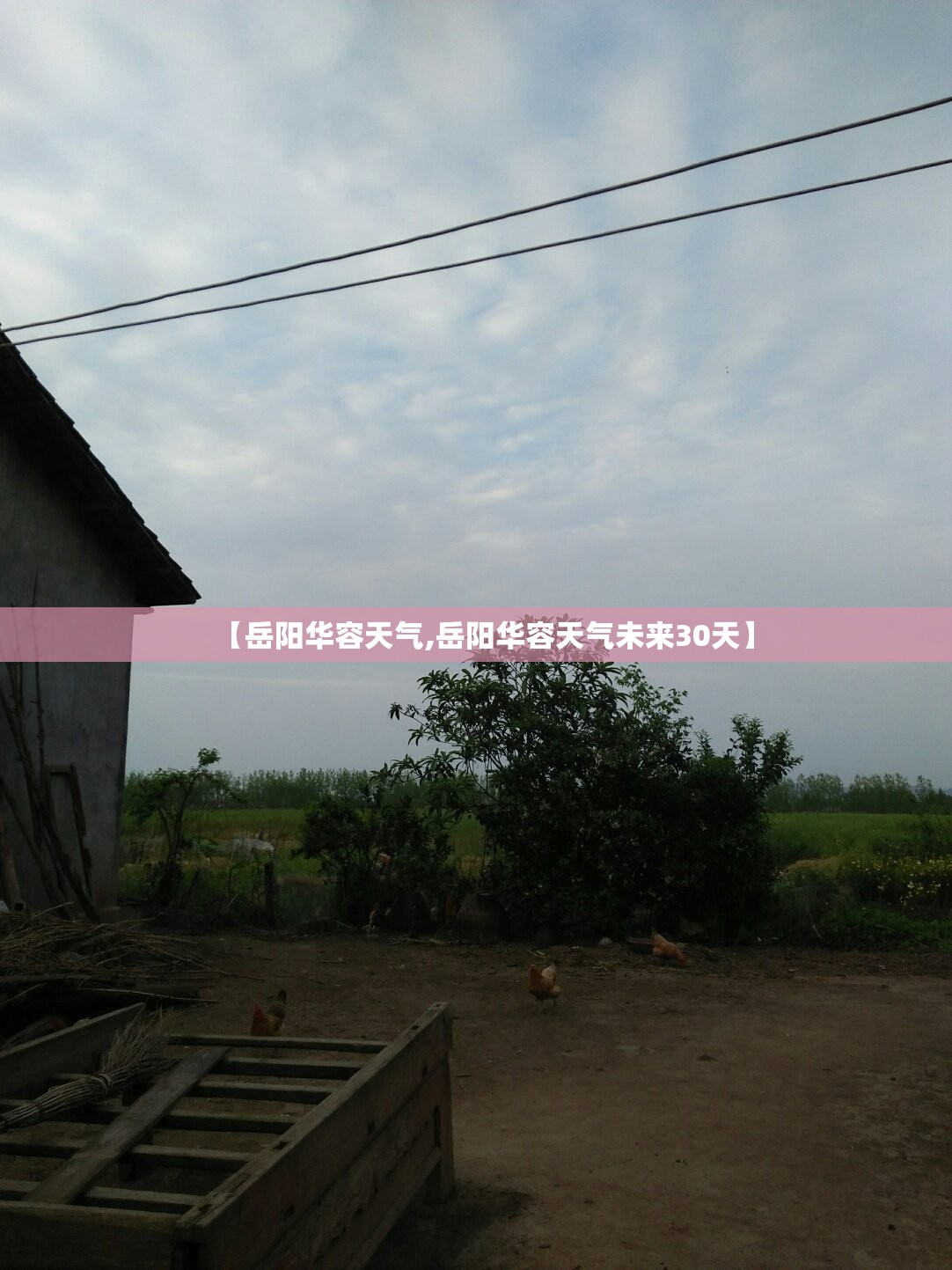 【岳阳华容天气,岳阳华容天气未来30天】