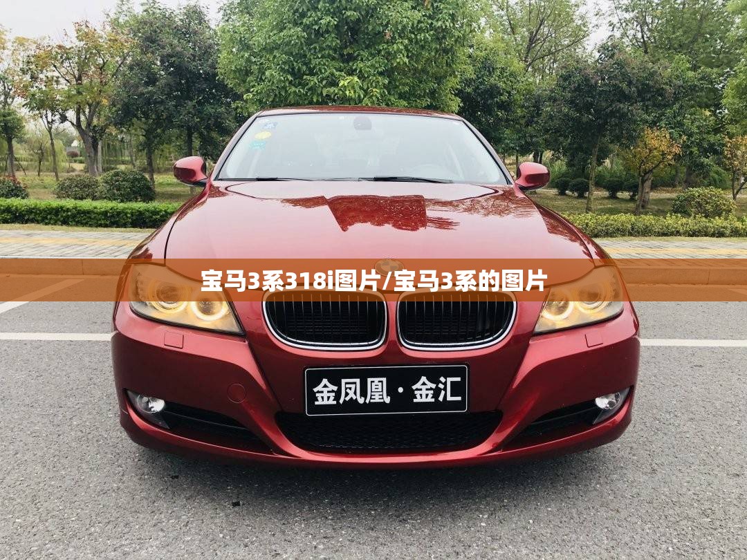 宝马3系318i图片/宝马3系的图片 宝马3系318i图片/宝马3系的图片