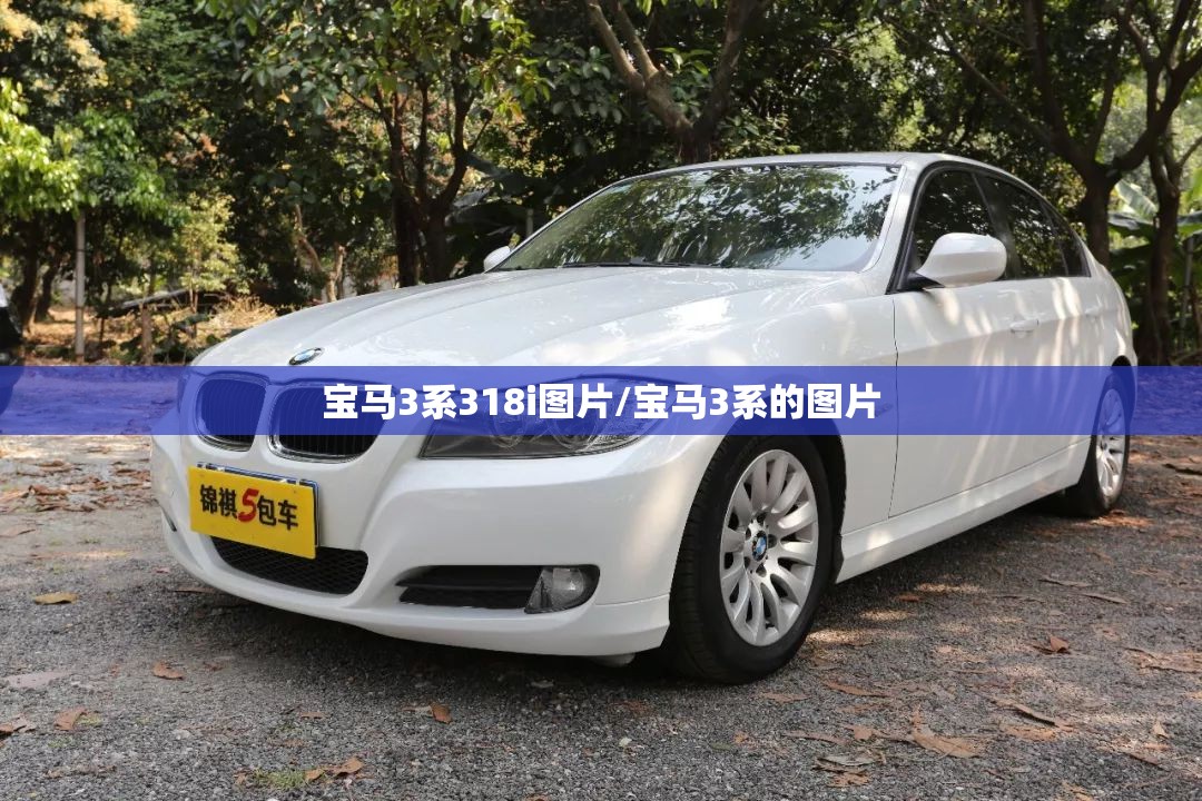宝马3系318i图片/宝马3系的图片 宝马3系318i图片/宝马3系的图片